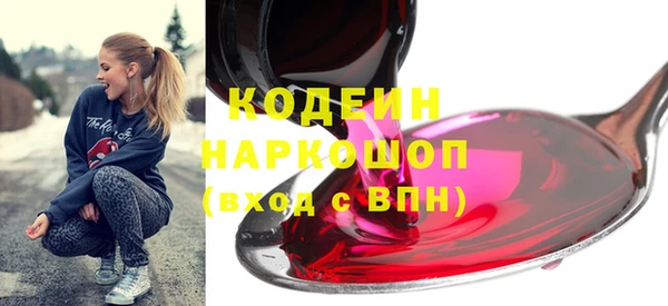 амф Верхний Тагил