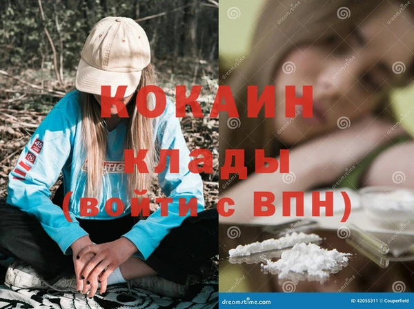 бошки Бронницы