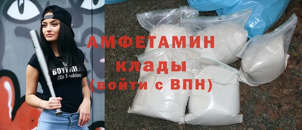амф Верхний Тагил
