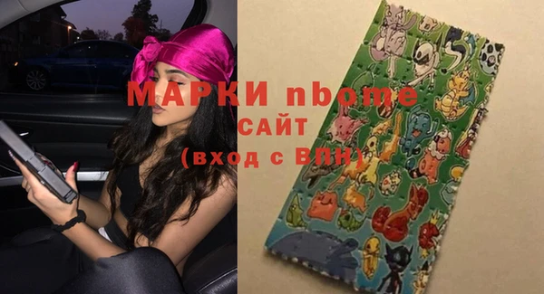 амф Верхний Тагил