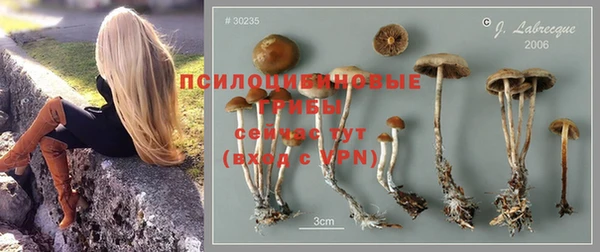 амф Верхний Тагил