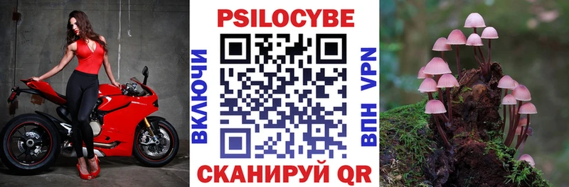где купить   Верея  Галлюциногенные грибы прущие грибы 
