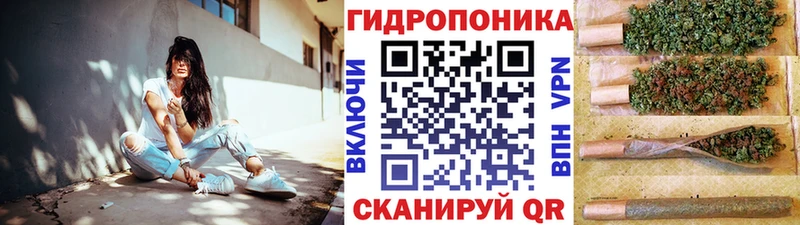 Шишки марихуана индика Верея